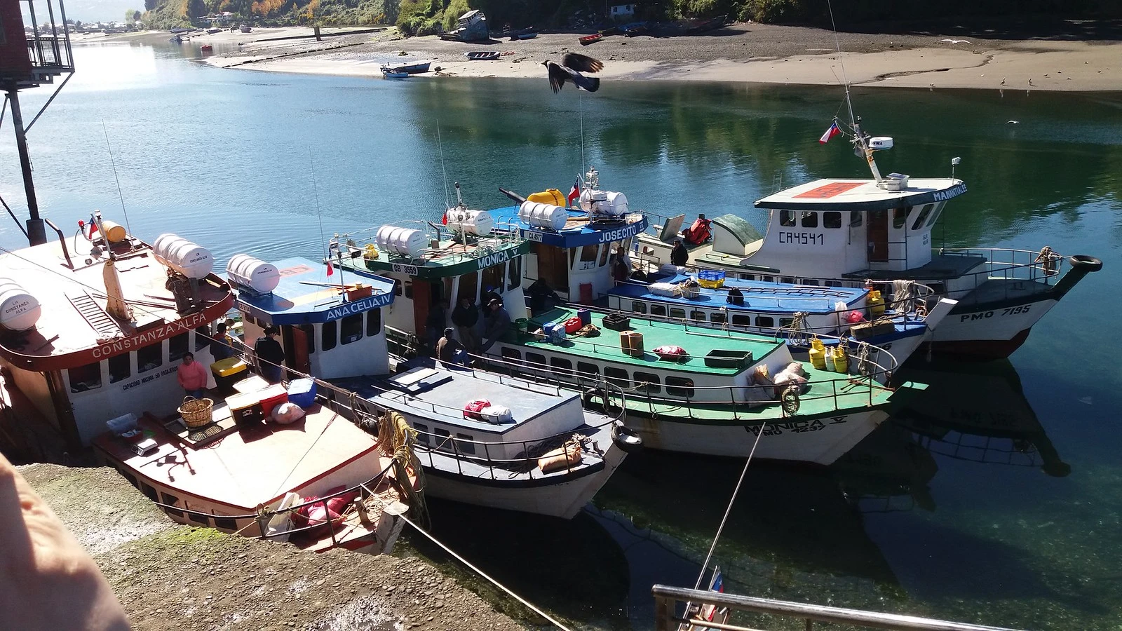 Mercado de Angelmó Puerto Montt caleta pescadores mariscos frescos artesanía chilota sur Chile