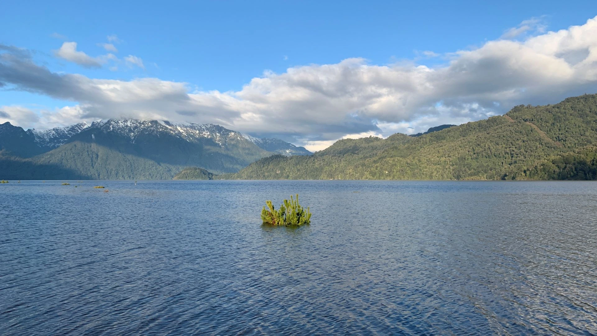 Ribera del Lago Chapo con vegetación nativa coigüe avellano alerce