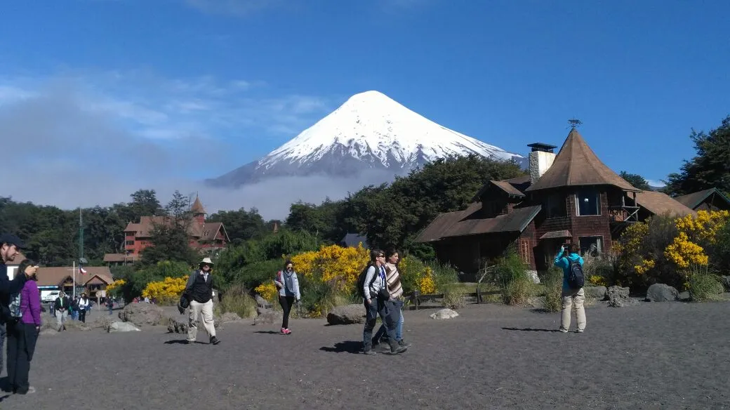 Bosque virgen orilla Lago Todos los Santos volcán Tronador Patagonia