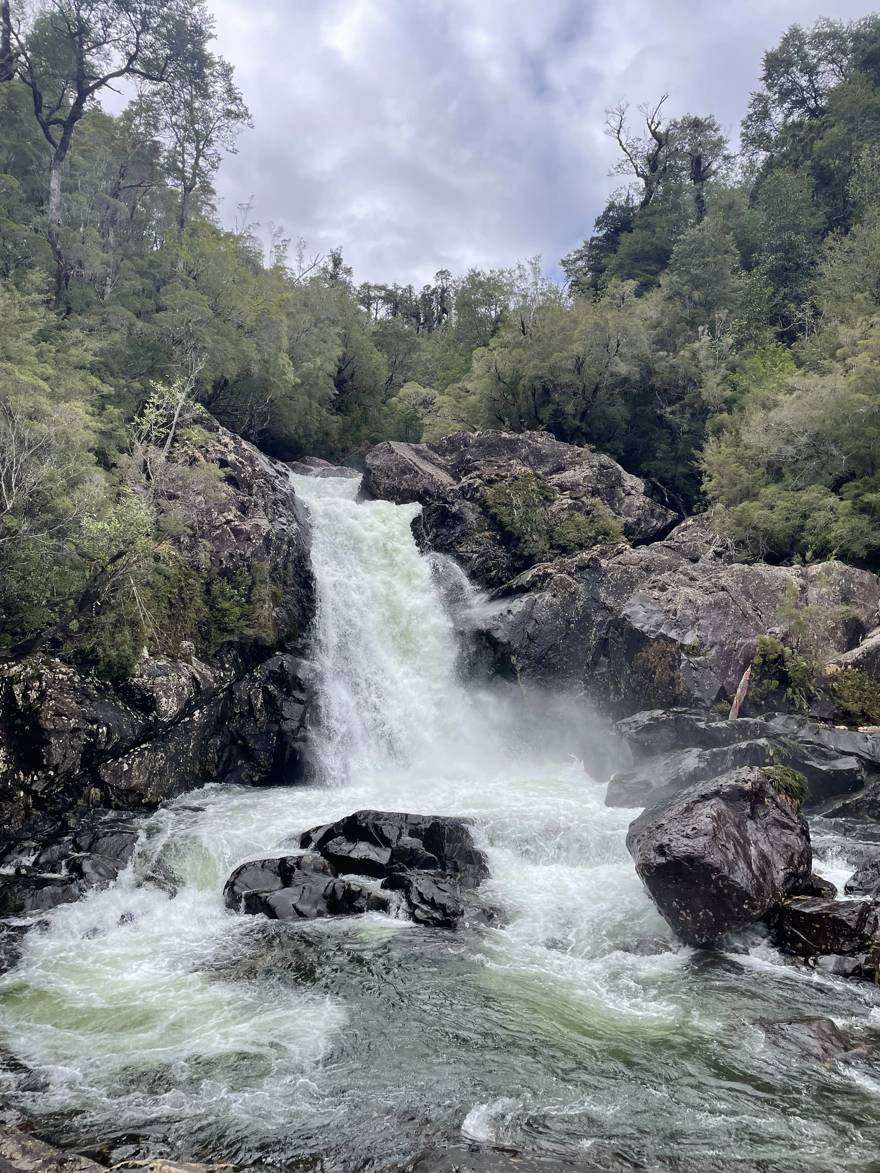 Parque Alerce Andino