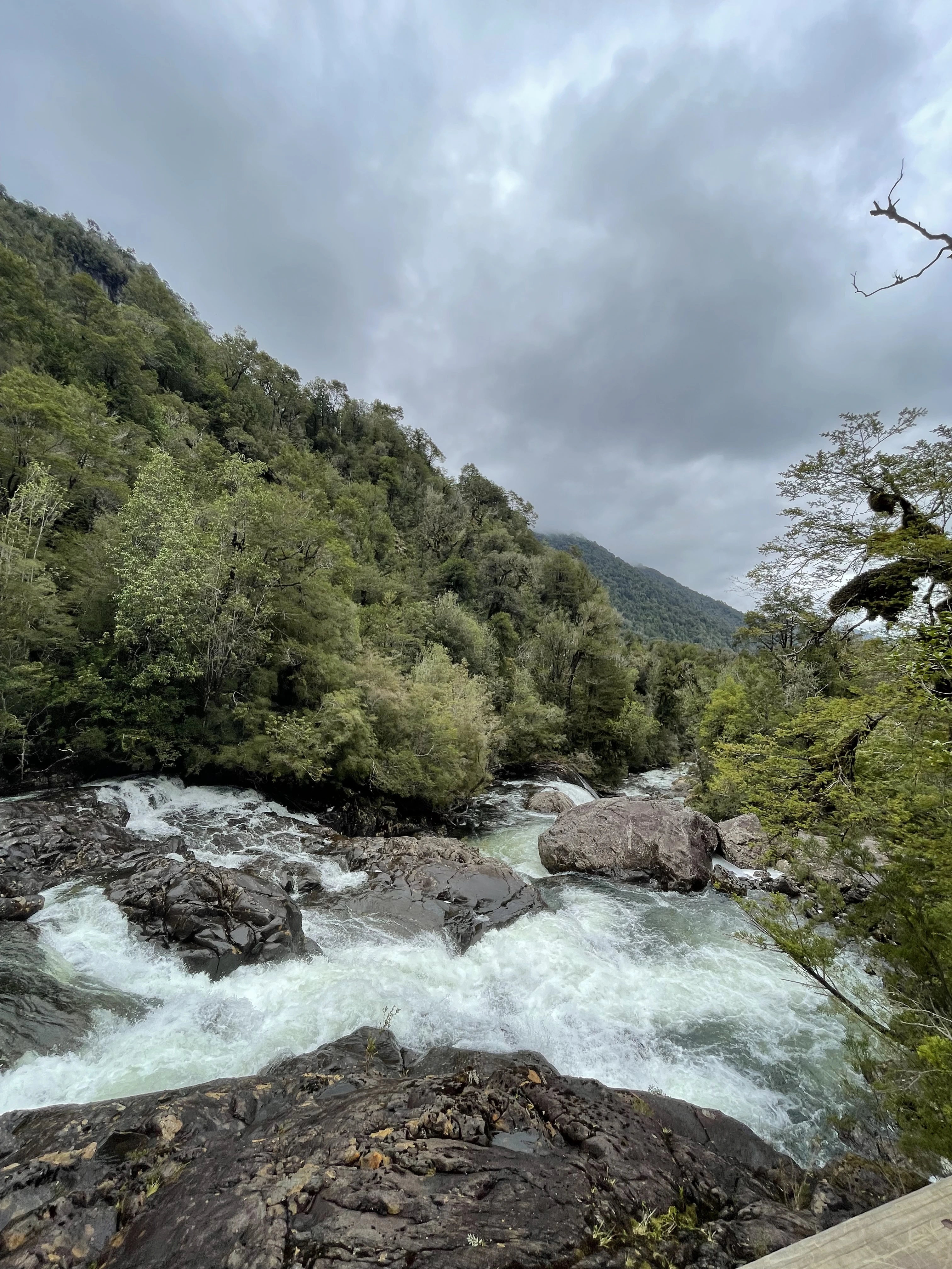 Laguna en el Parque Nacional Alerce Andino sector Chaicas
