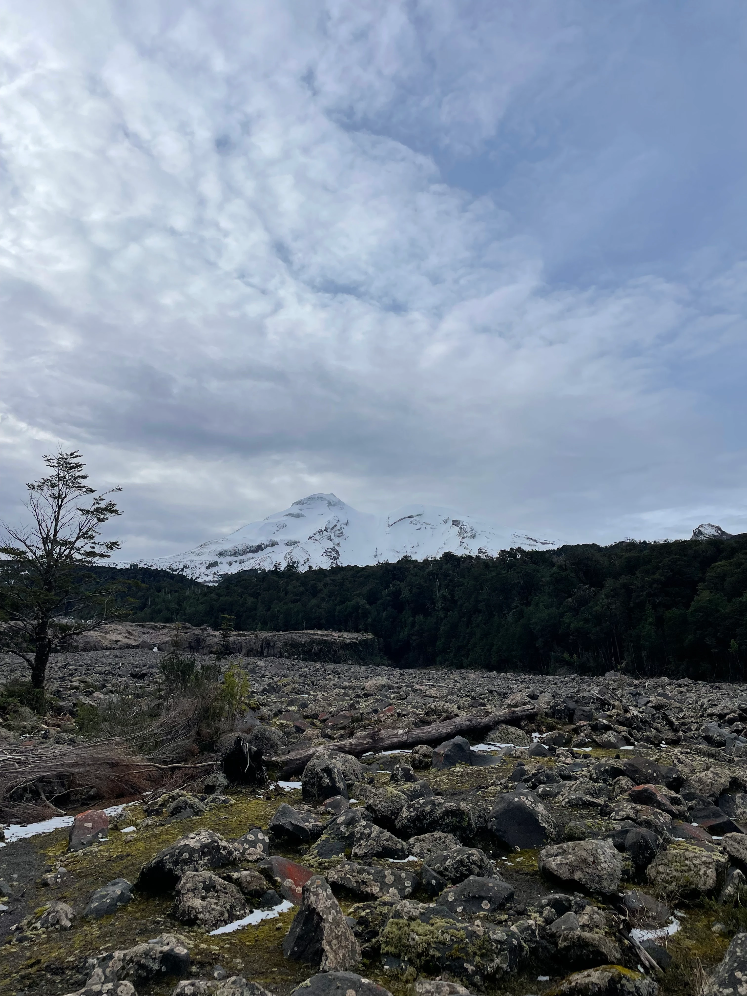 Cascada Salto El Blanco en la Reserva Nacional Llanquihue con bosque nativo y volcán Calbuco Puerto Montt