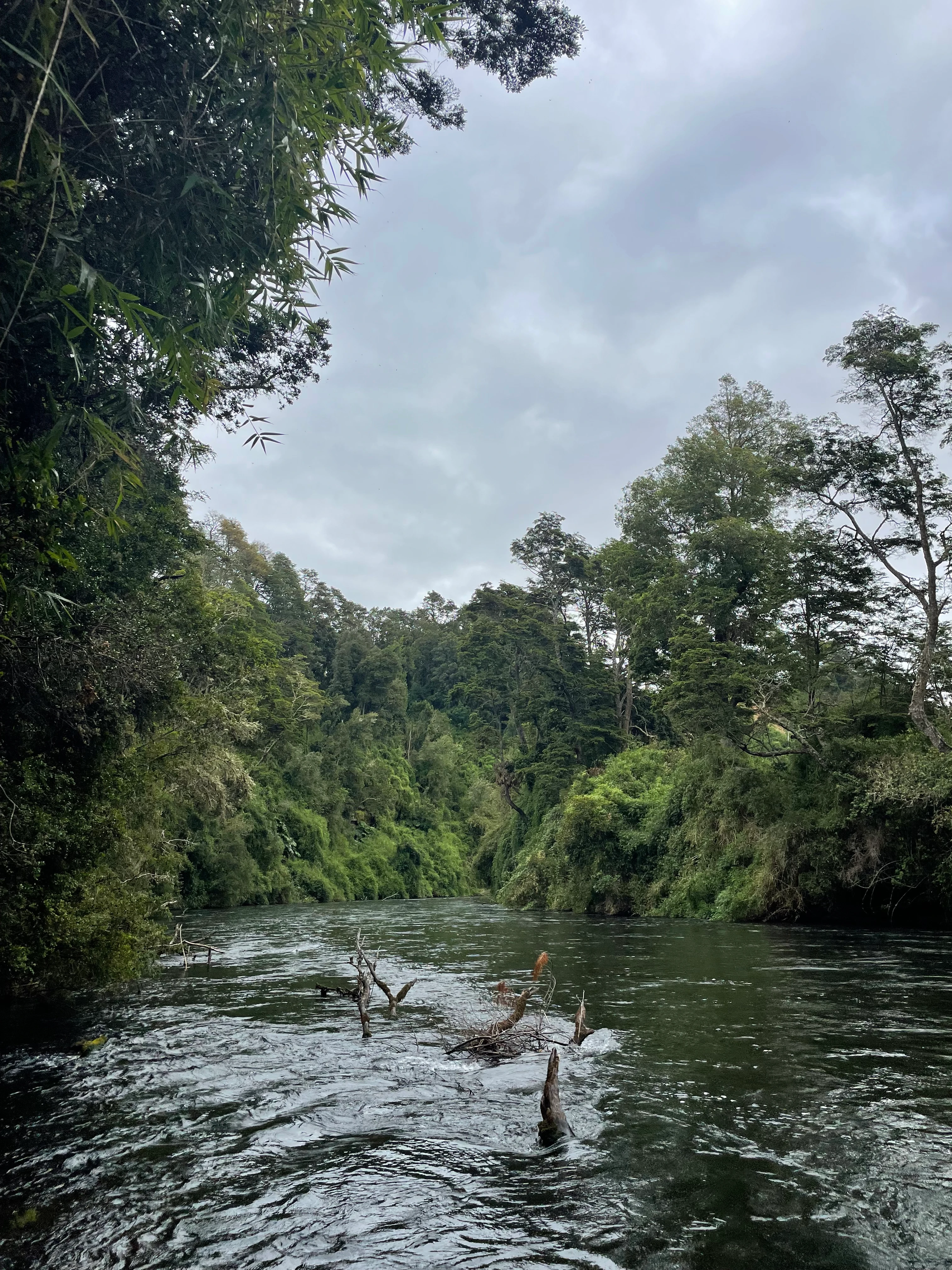 Río Maullín