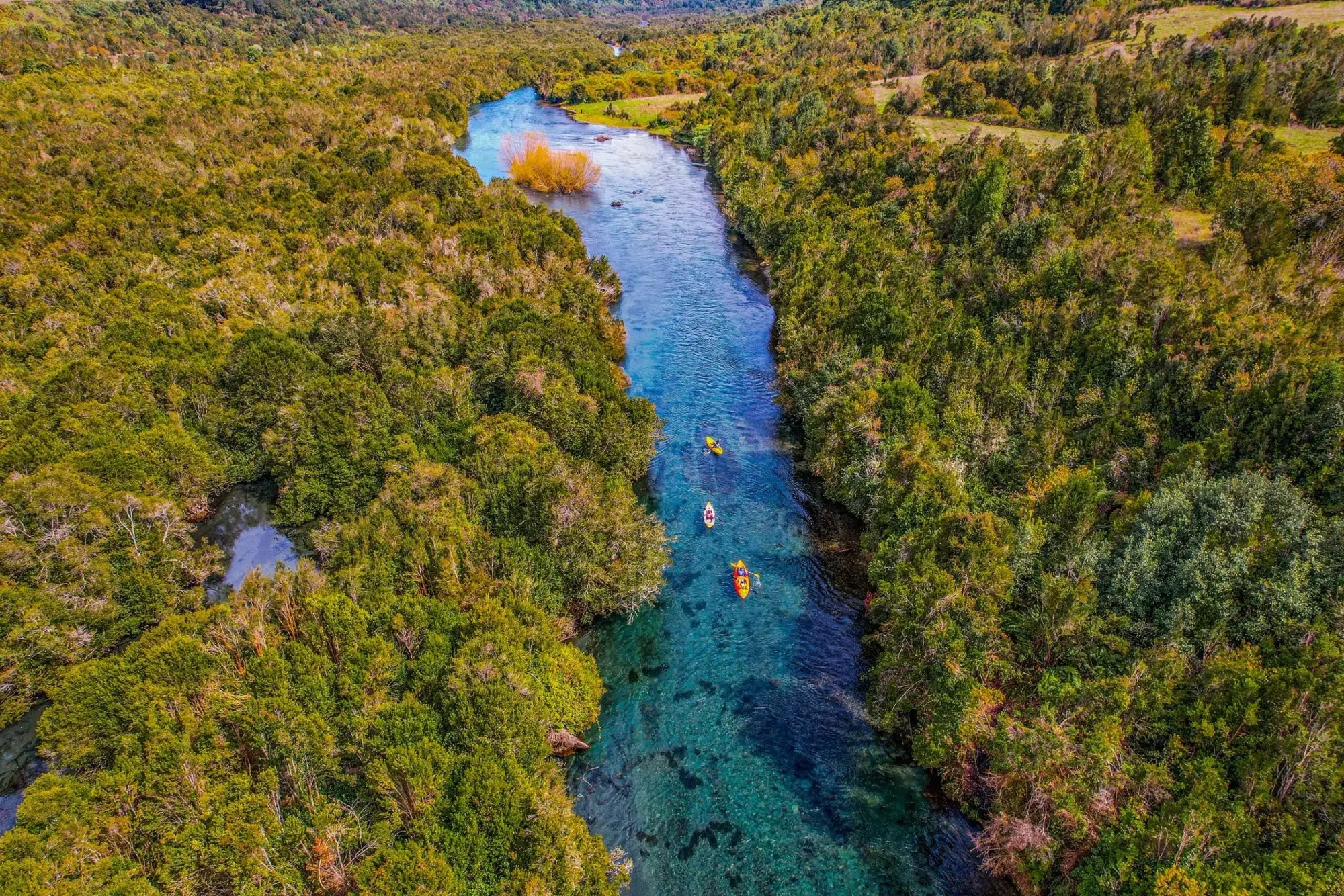 Río Maullín aguas cristalinas bosque ribereño pesca deportiva trucha salmón